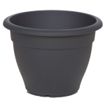 anthraki-500x500_1_1082115795