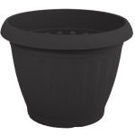 antraki-500x500_942723486