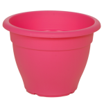 fouksia-500x5001_524864905