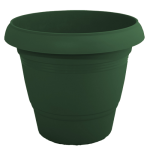 kypparissii-500x500_1810985776