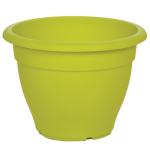 lahani-500x500_348650317