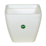 lefko-500x500_254490626