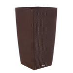 sokola-500x500_1925053034