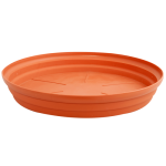 terakota-500x500_962903261